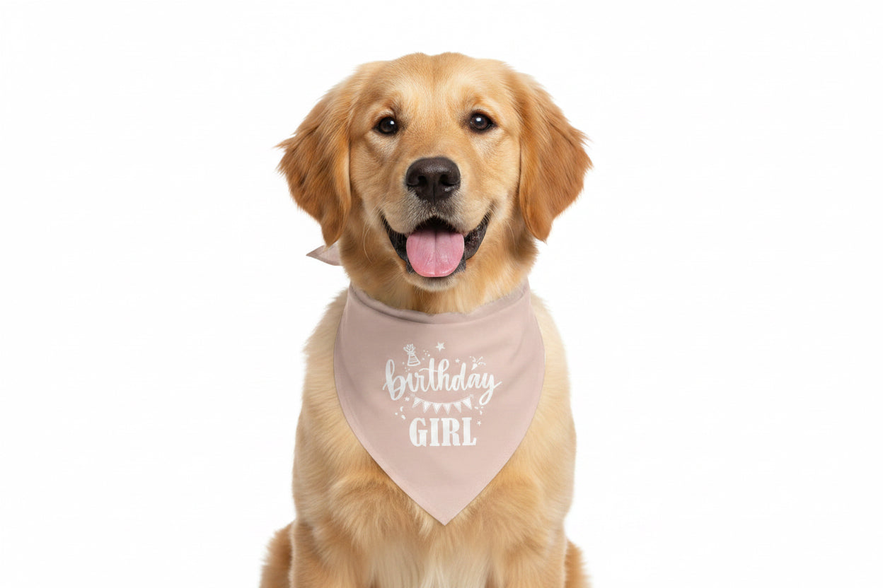 Premium Flannel Pet Bandana