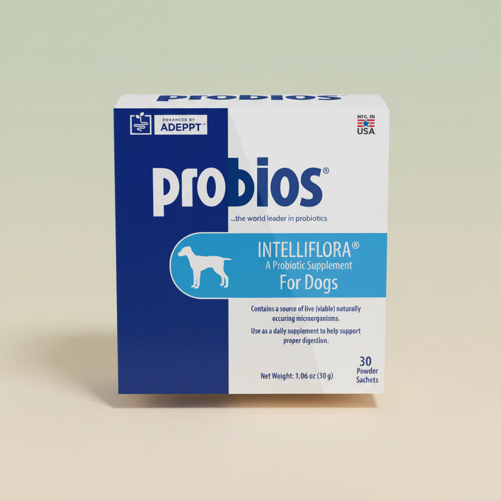 Intelliflora Probiotic Supplement for Dogs