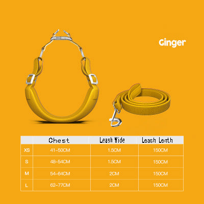 Suede Comfort Pet Harness & Leash Set