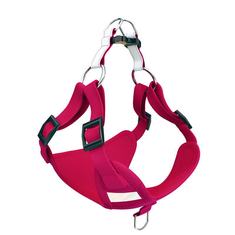 Transparent Pet Backpack Carrier