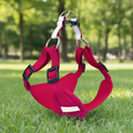 Transparent Pet Backpack Carrier