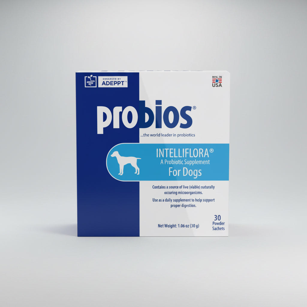 Intelliflora Probiotic Supplement for Dogs